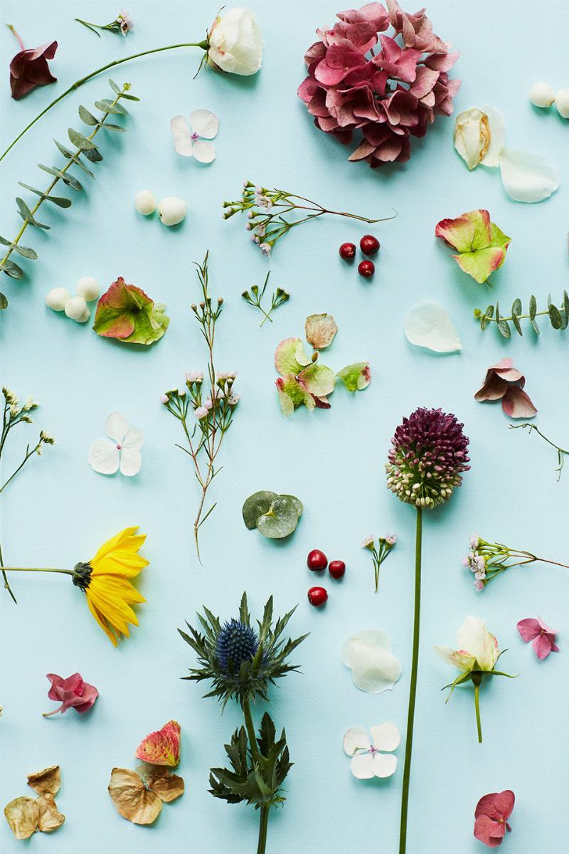 Elegant Blomst i Blå – Kunstværk til dit hjem