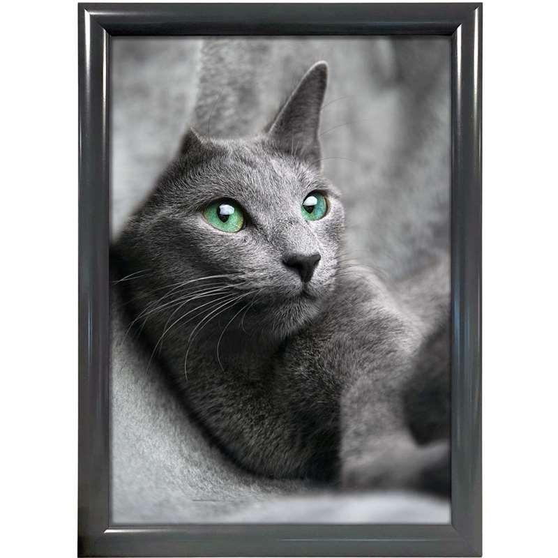 Elegant Antracitgrå A2 Plakatdisplay – Snapramme Tilbud!
