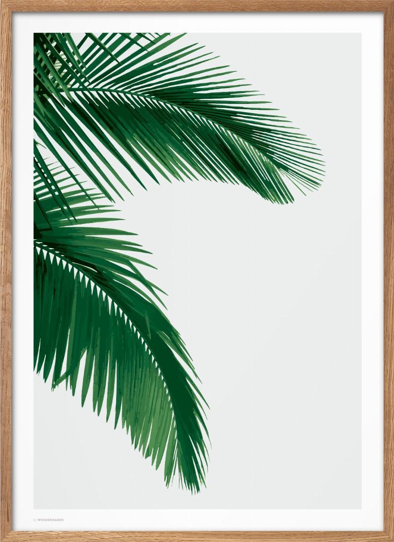 Fantastisk Palm Plakat til Indretning
