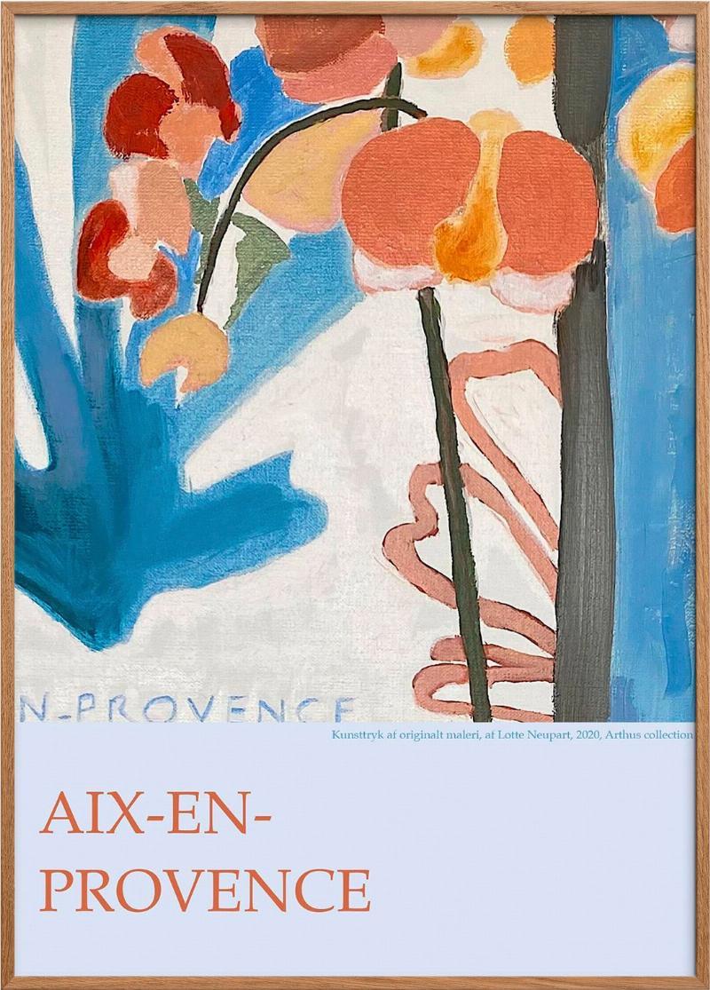 Aix-en-Provence: Skønne Provence Oplevelser