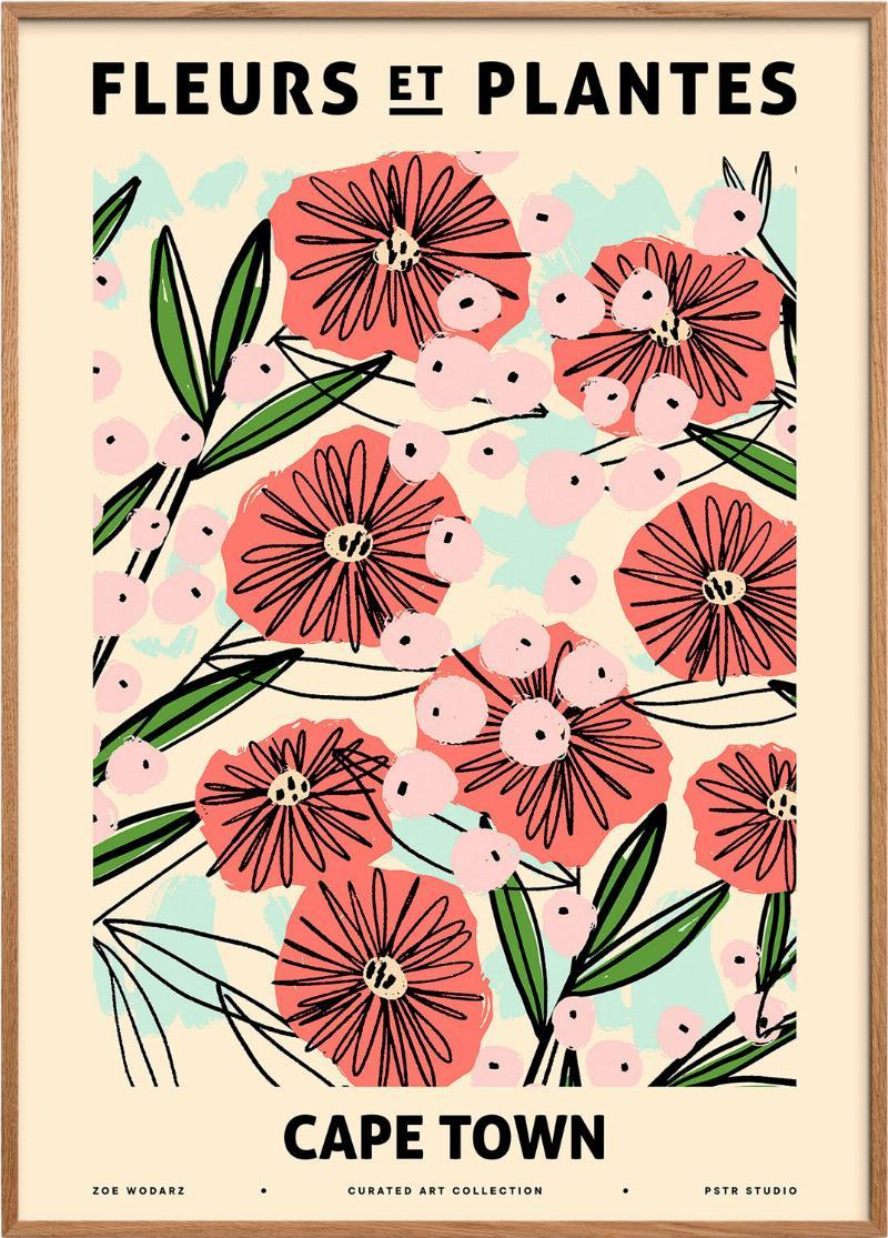 Zoe Blomster og Planter - Capetown