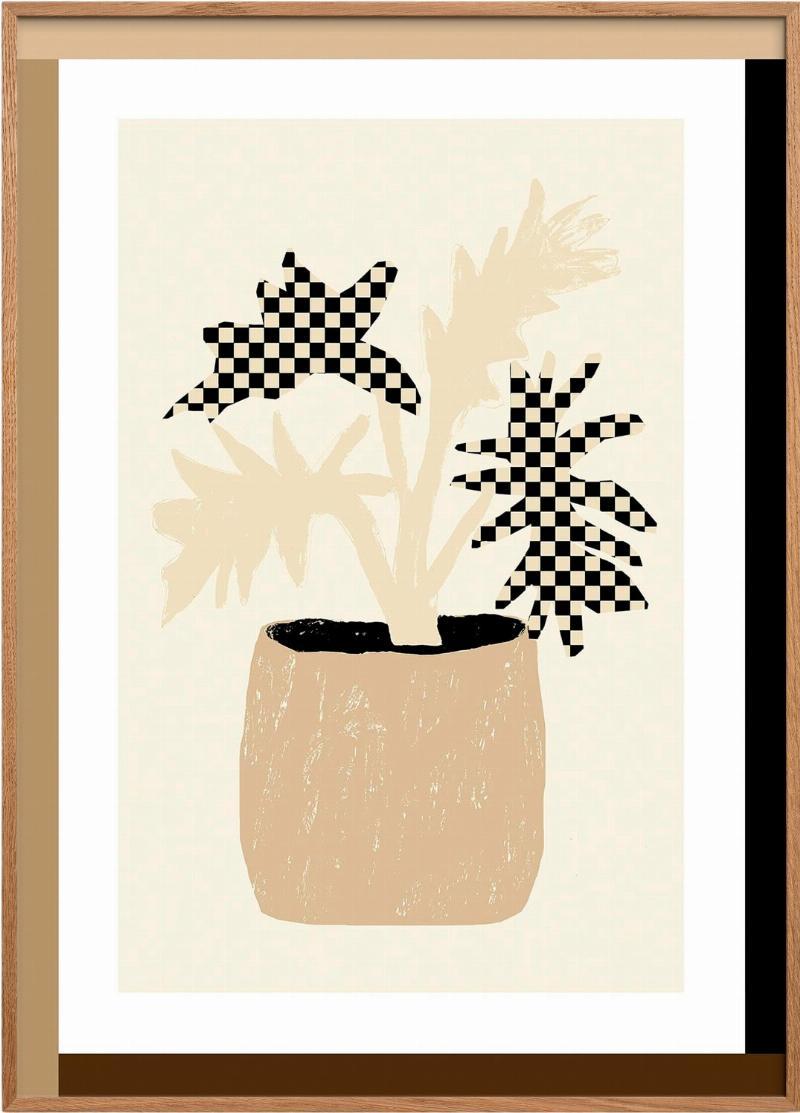 Skakbrik Plante
