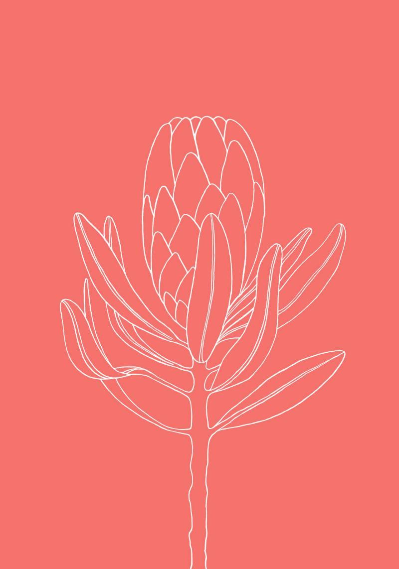 Koralblomst Vægkunst – Unik Dekoration til Dit Hjem