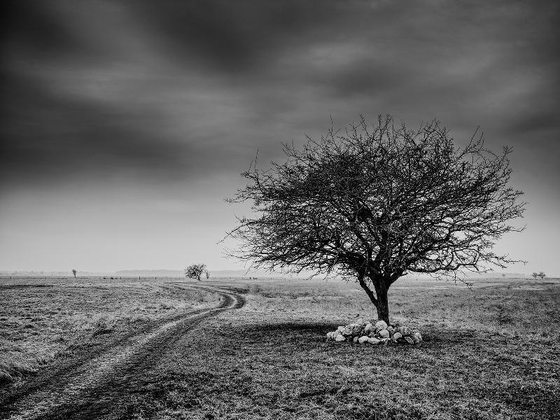Vægkunst: "Side Of The Road" af Jakob Evers – Sort-hvid Foto