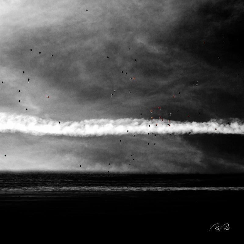 Pia Roi – Carried By The Wind – Sort-hvid Fotokunsttilbud