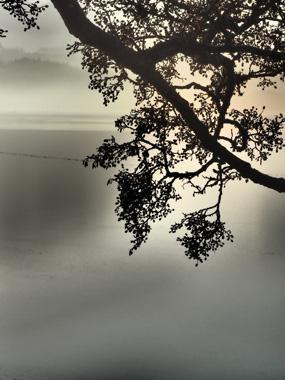 Dawn af Bytraberg – Betagende Fotokunst til Dit Hjem