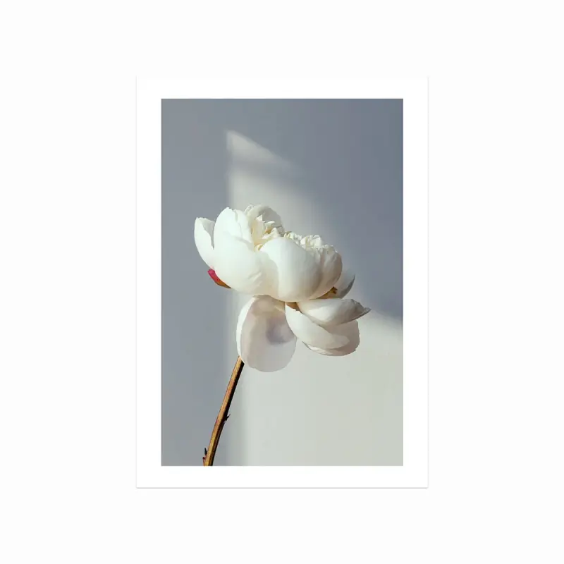Plakat "Blooming" – Naturlig Skønhed til Dit Hjem