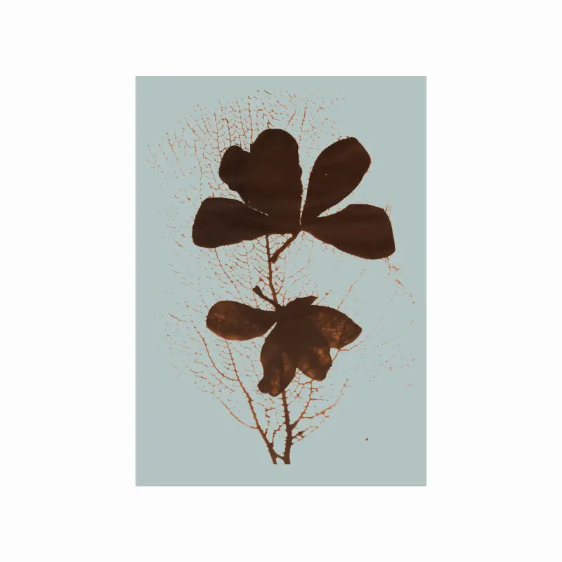 Imprint 01 – Plakat med Unikke Blomsterdesigns til Hjemmet