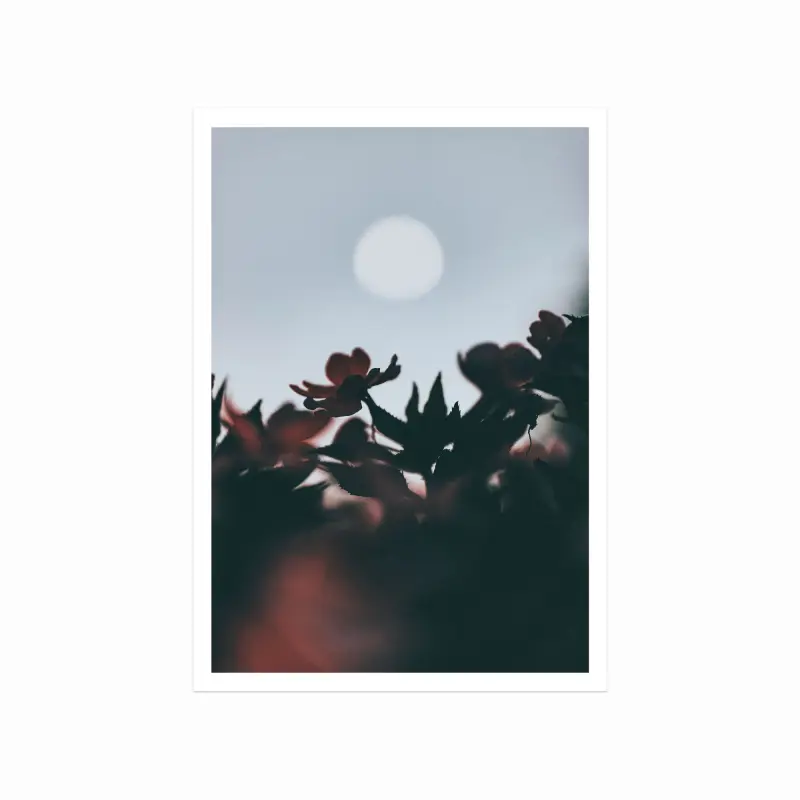 Høstmåne Plakat – Naturskøn Elegance til Dit Hjem!