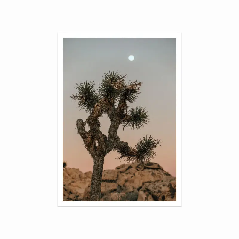 Joshua Tree Nationalpark Plakat – Naturskøn Indretning
