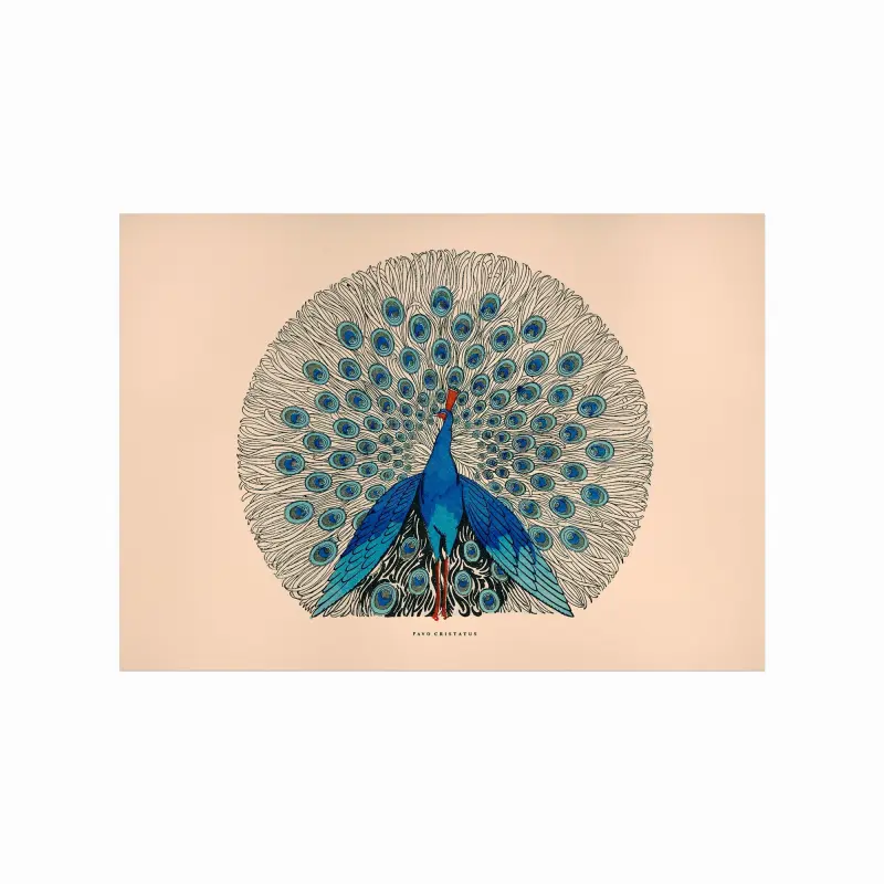Elegant Påfugl Plakat – Pavo Cristatus til Dit Hjem