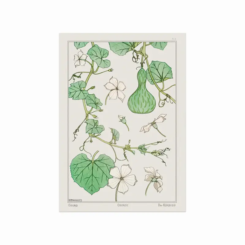 Hvid blomstret græskar plakat – unik vægkunst til hjemmet!