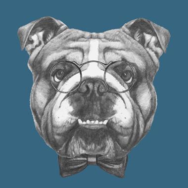 No Diggity Dog – Illux Vægkunst til Børneværelset