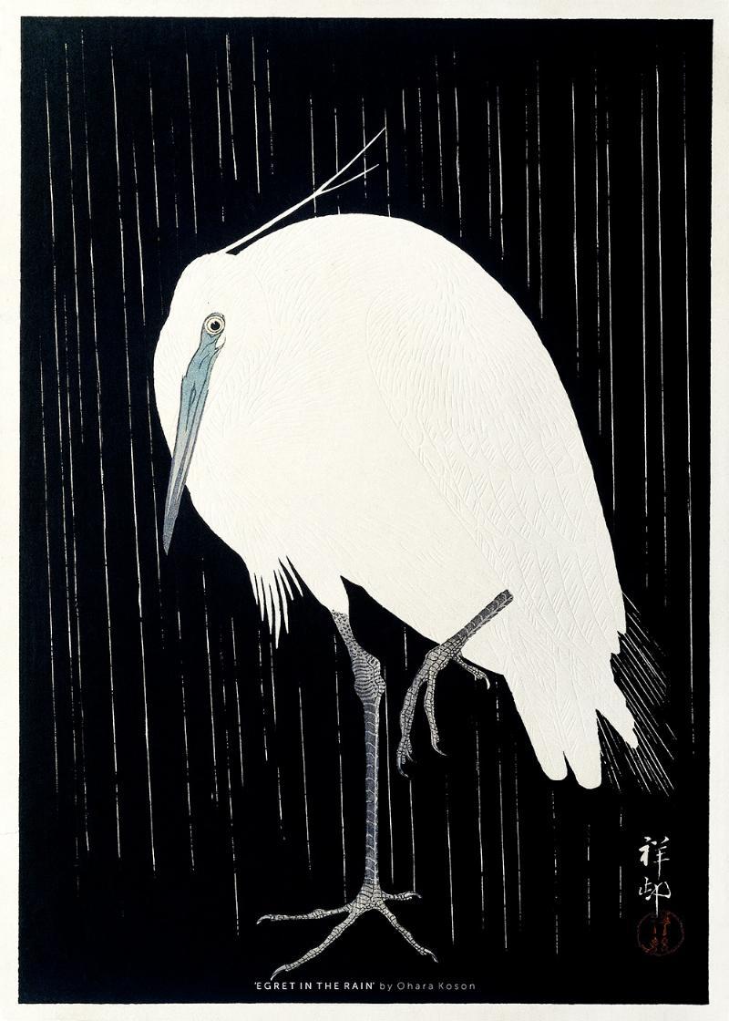 Egret i Regnen Plakat - 50% rabat under Black Week!