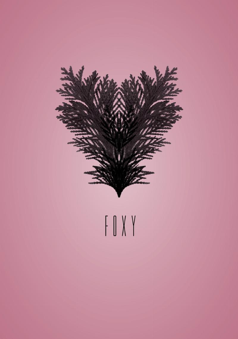 Foxy – Unik grafisk kunst fra Ten Valleys på udsalg!