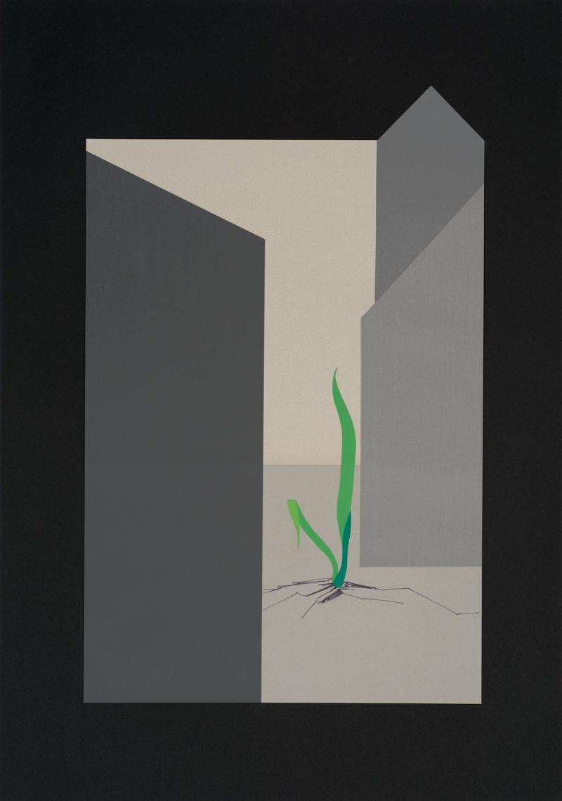 Farverig papirkunst – Forvandl dit rum med PaperArt!