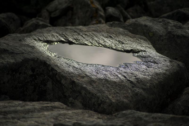 H2O Kunstværk fra Iguan Design – Naturlig Skønhed til Dit Hjem