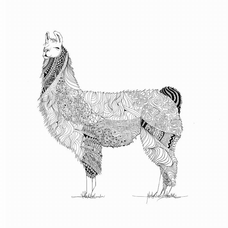 Lama Illustration af Mads Hindhede – Unik Vægkunsttilbud!