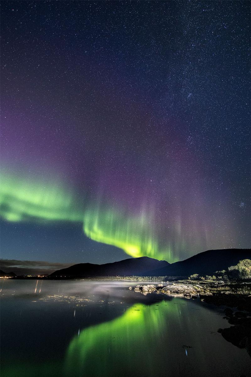 Natdis af Frank Olsen – Oplev Night Fog's skønhed!