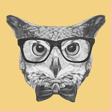 Ordinary Owl – Vægkunst til Børneværelset fra Illux