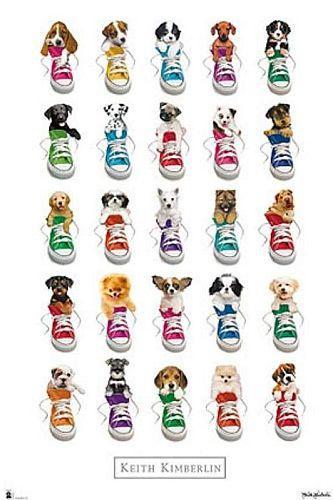 Fantastisk Hundemotiv Plakat – Udsalg 61x91,5 cm