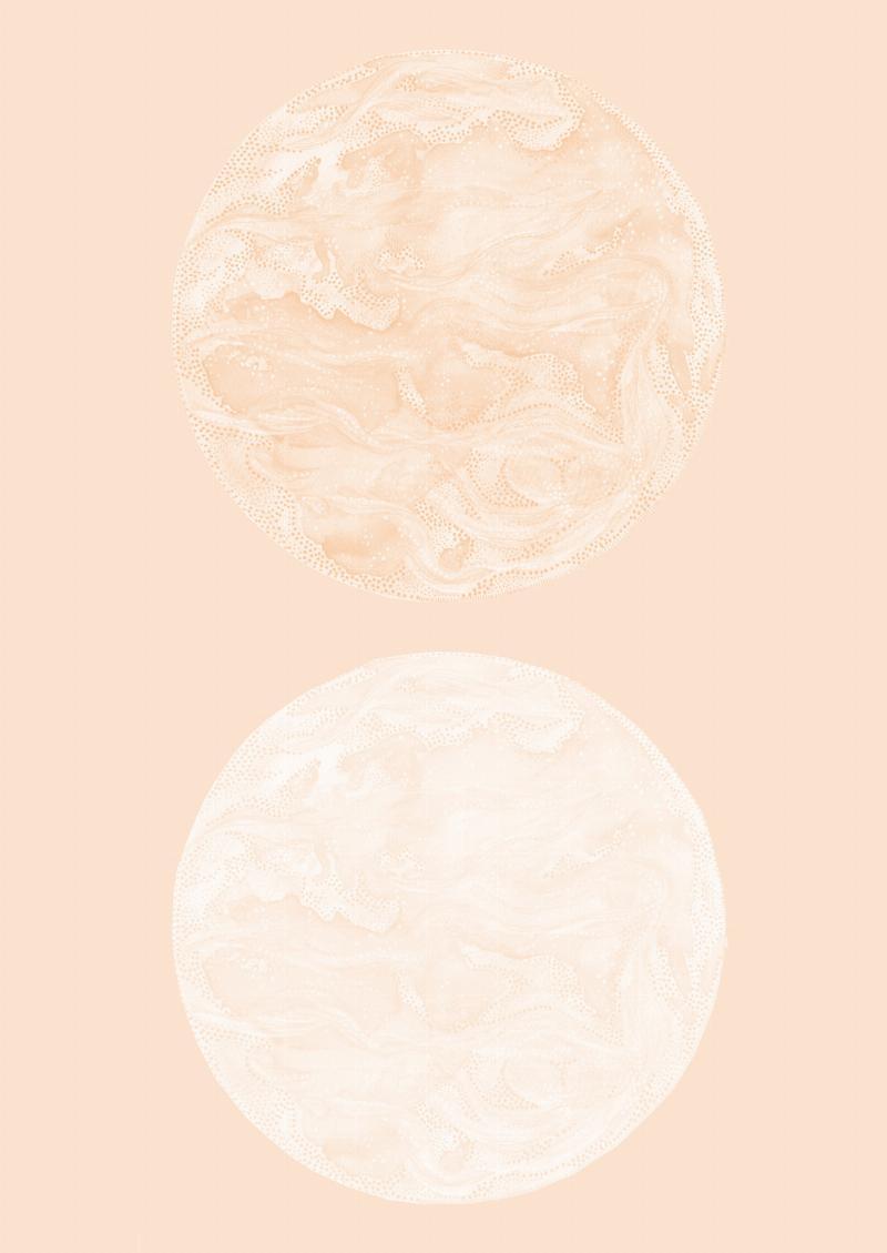 Planet04 – Unik vægkunst med naturinspiration til hjemmet