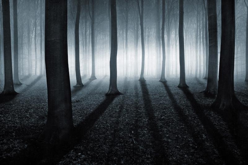 Unikt Fotokunstværk "Shining" – Naturens Skønhed til Dit Hjem