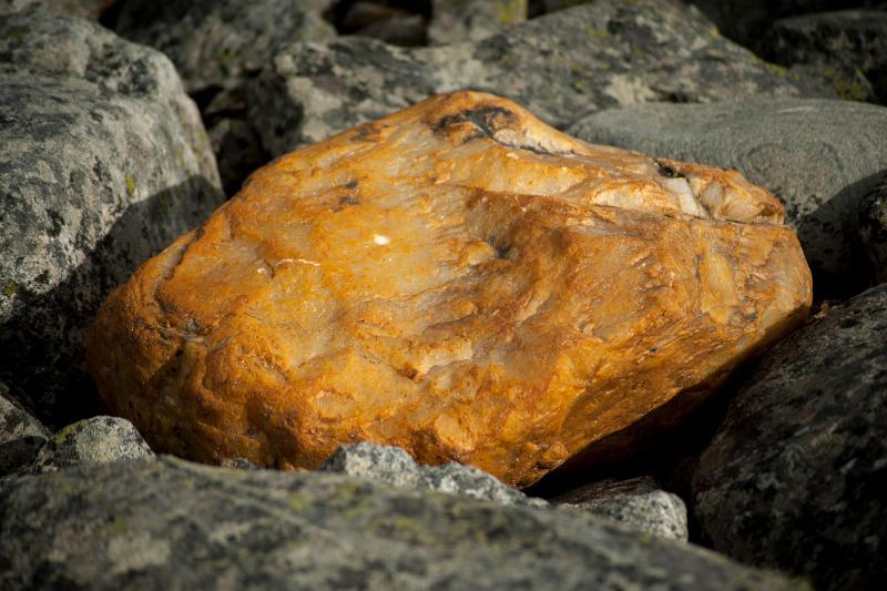 Oplev "Stone Sheep" – Unik vægkunst fra Iguan Design!