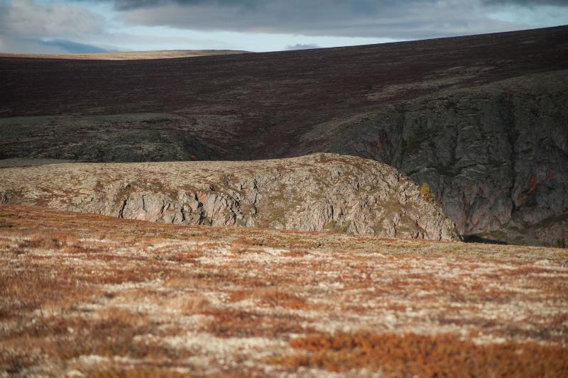 Stærk One – Unik Natur Fotokunst fra Iguan Design