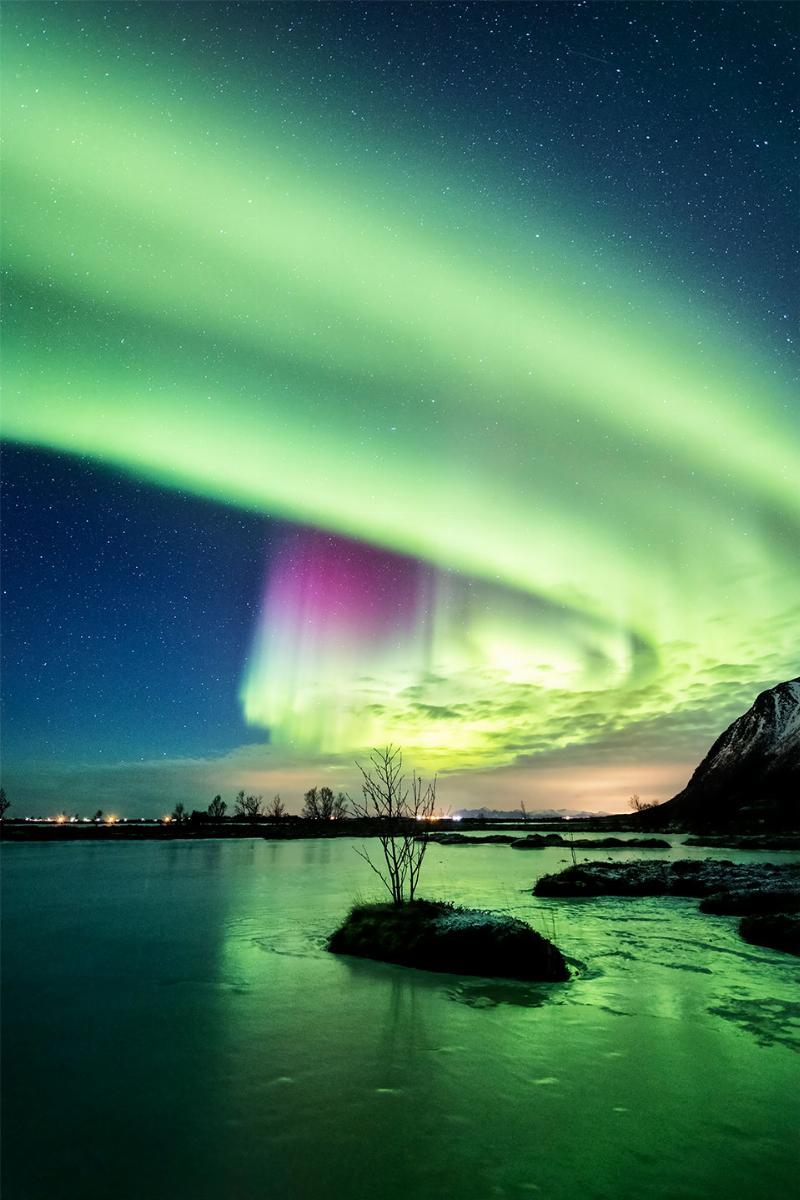 Træet i Søen – Smuk Fotokunst til Dit Hjem