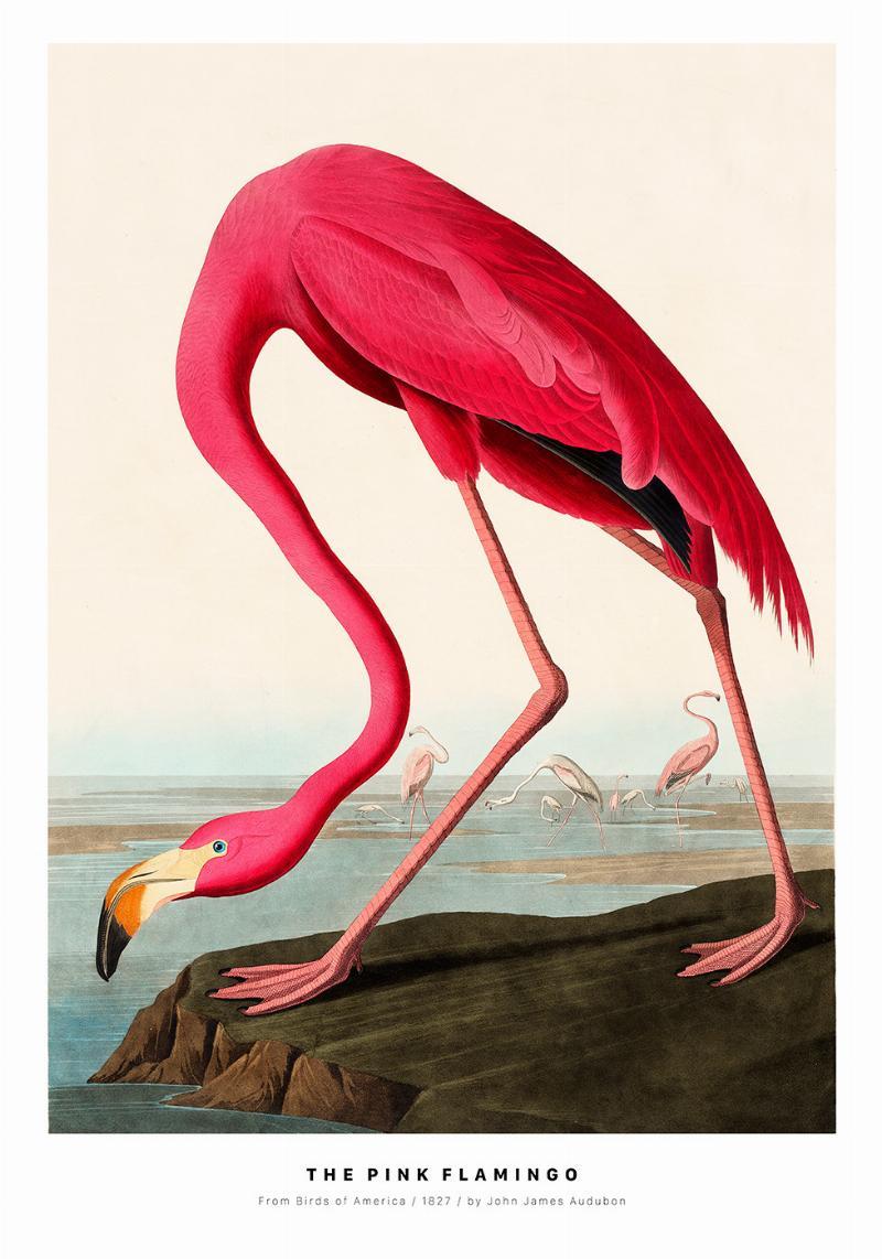 Unik Lyserød Flamingo Plakat – Kunst til Dit Hjem