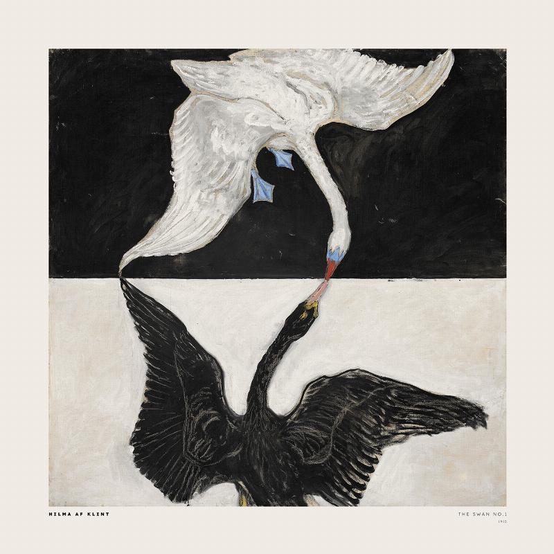 Svanen No. 1 Plakat – Elegant Kunst til Dit Hjem!