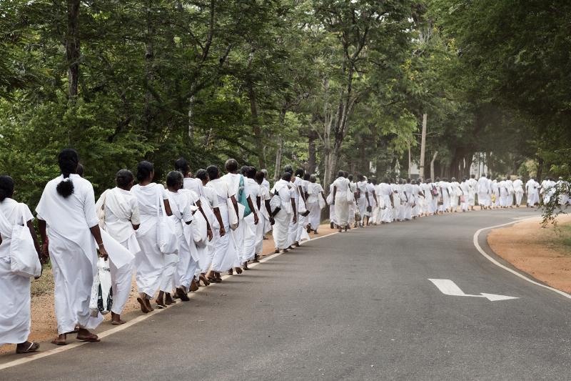 Unik vægkunst: The Walk Sri Lanka – Skønhed til hjemmet!