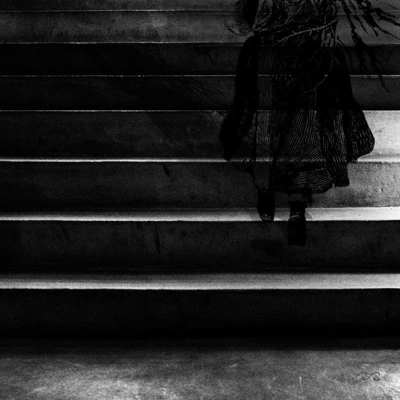 Pia Roi – Gennemsigtighed – Sort-hvid Fotokunst til Hjemmet