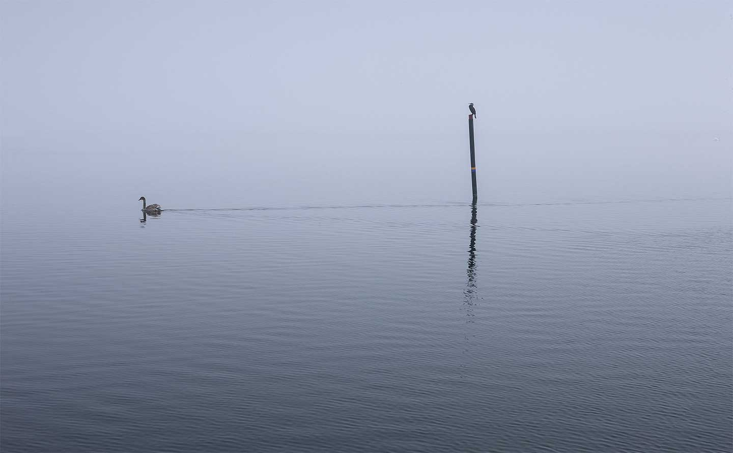 Unik Fotokunst - Glænø af Jørgen Bausager til Dit Hjem