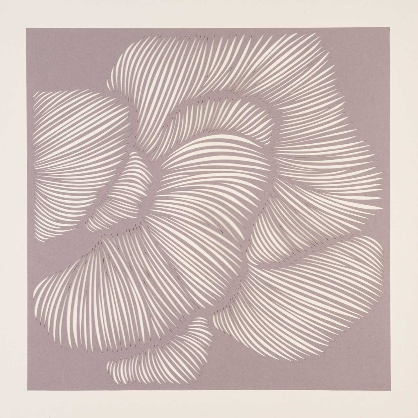 ARK No 17 - Smuk illustration til dit hjem