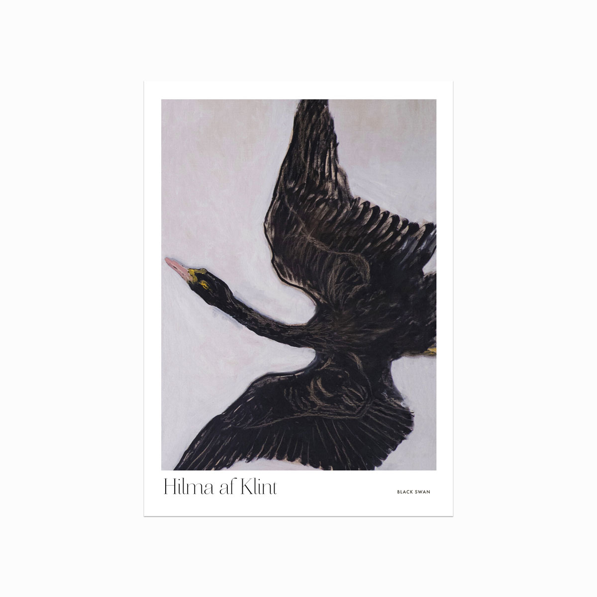 Hilma af Klint – Black Swan Plakat til Hjemmet