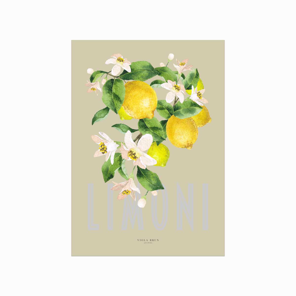 Eksklusiv Limoni Plakat - Kunstnerisk Vægkunst fra Viola Brun