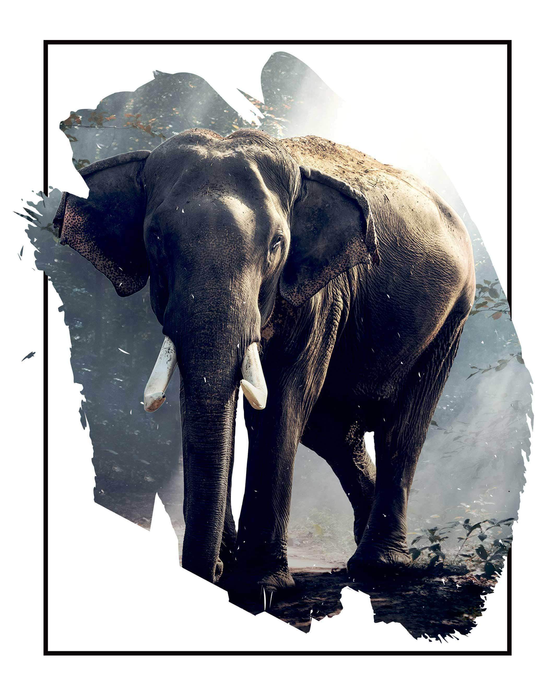 Elefant i Skovlysning – Smuk Plakat til Dit Hjem