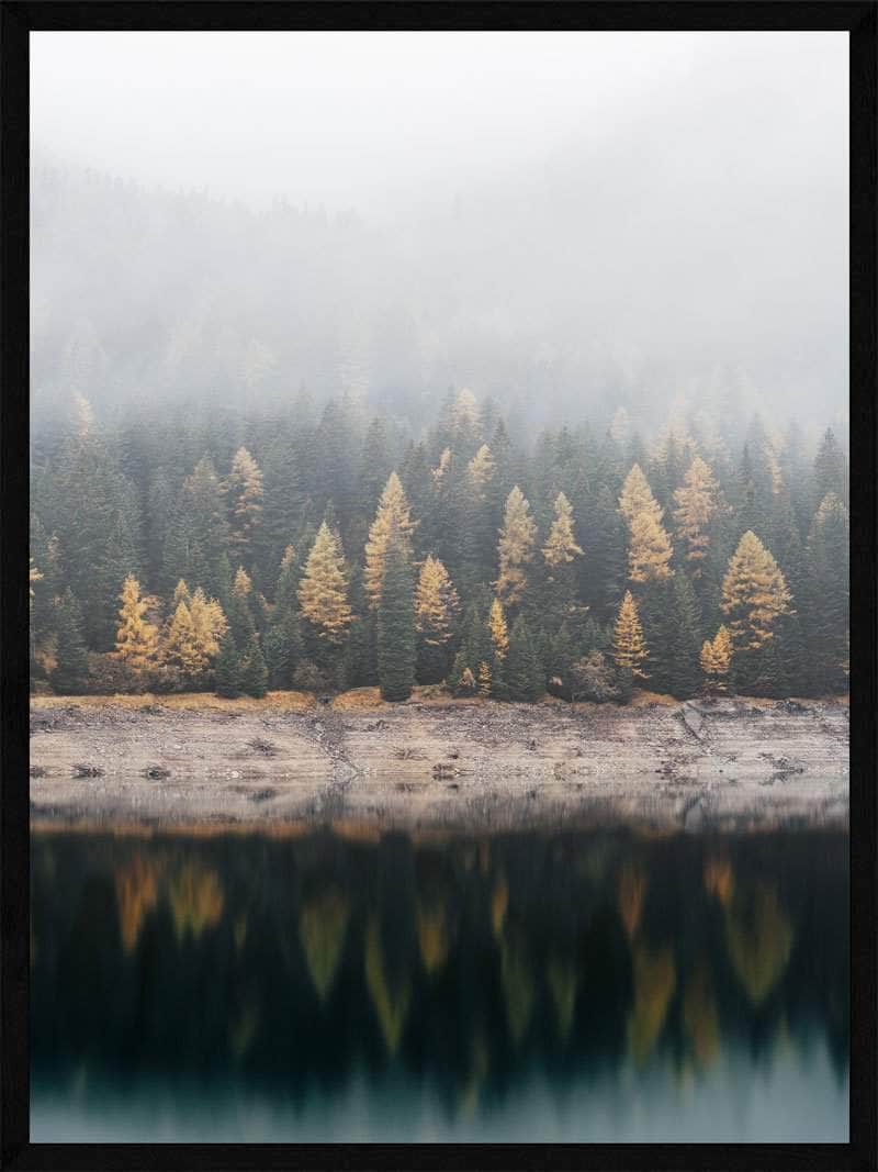 Forårsskov i Tåge Plakat – Unik Naturkunst til Dit Hjem