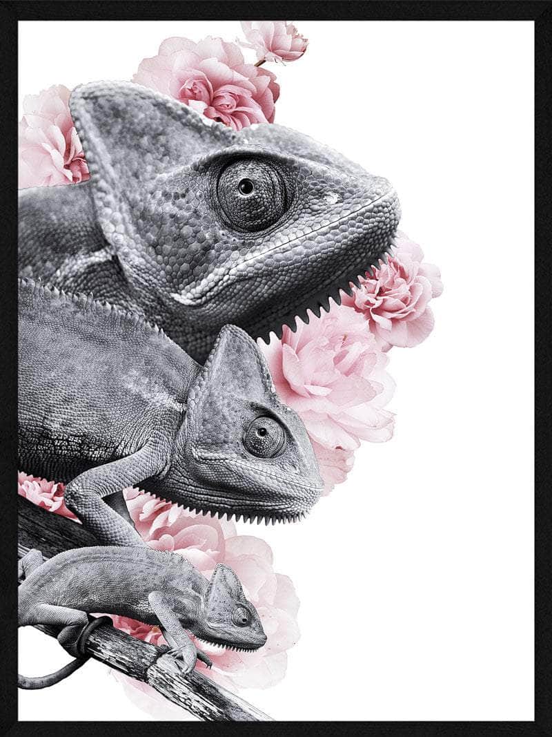 Farverig Kamæleon Plakat – Unik Kunst til Dit Hjem