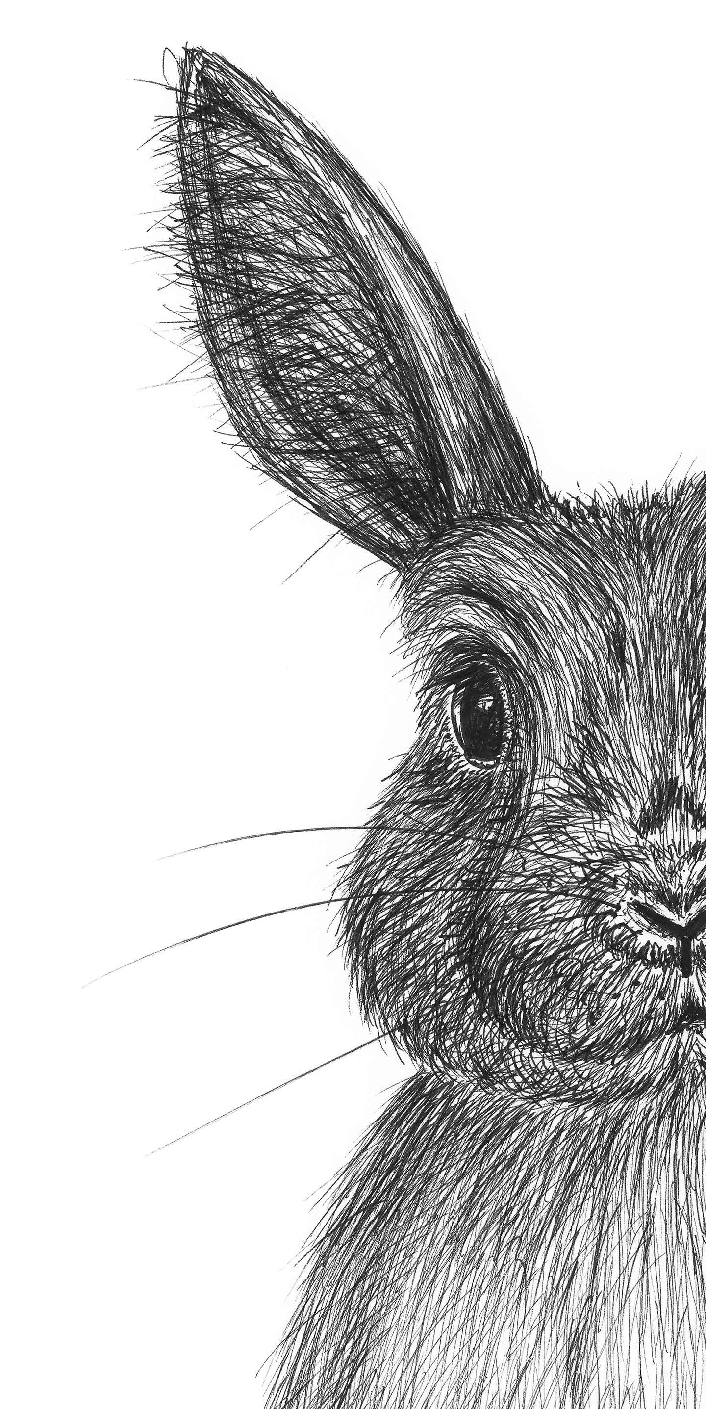 Karla Kanin Illustration – Unik Kunst til Dit Hjem