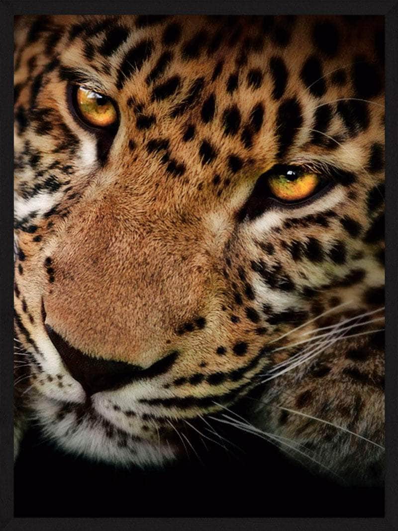 Leopard Plakat – Unik Kunst til Dit Hjem og Rum
