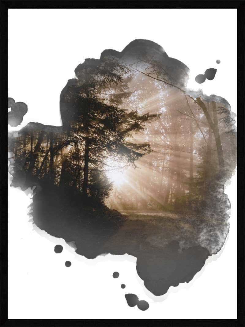 Naturplakat: Lysindfald i Skoven fra Postersbyus