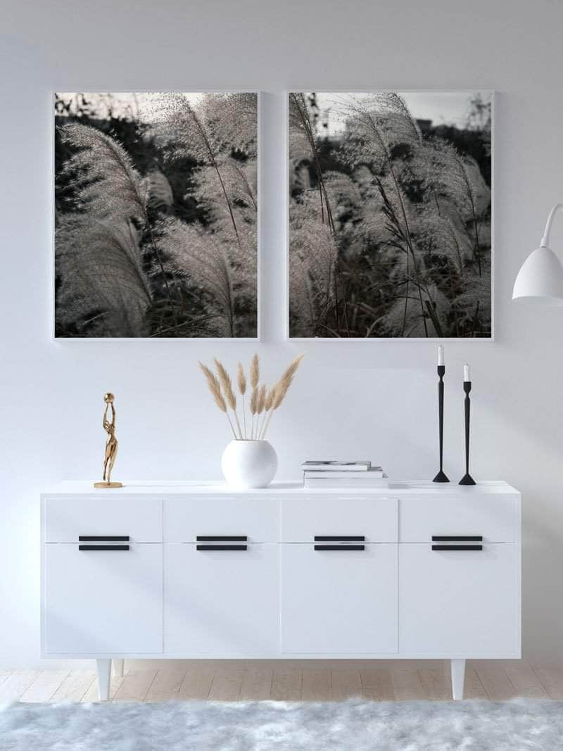 Pampas Plakat – Stilfuld Botanisk Kunst til Dit Hjem