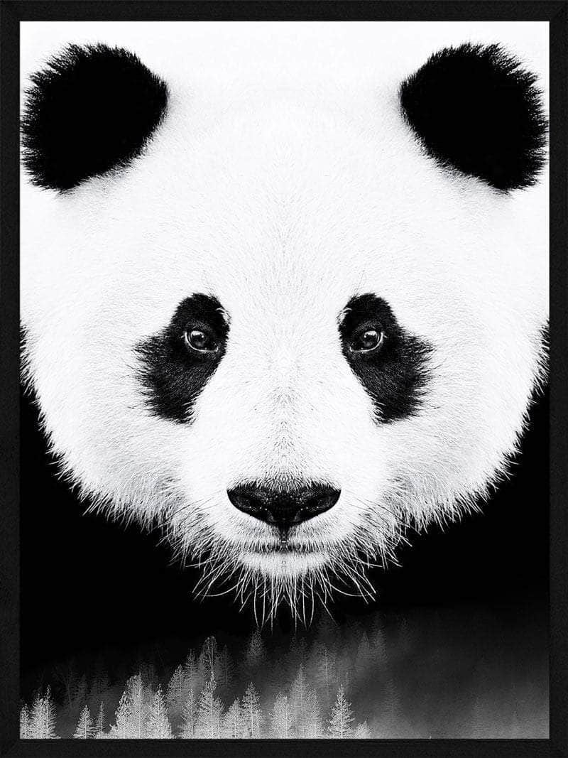 Panda Plakat – Skøn Kunst til Dyreelskere på Udsalg!