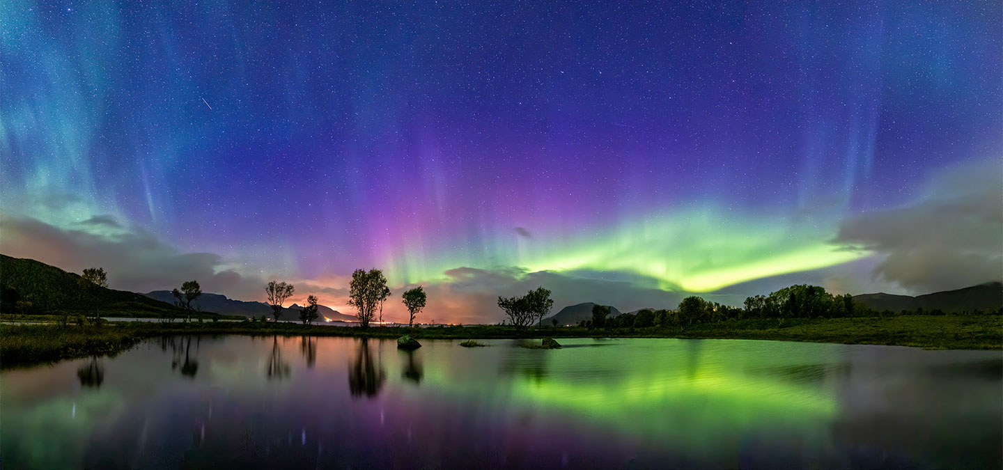 Refleksioner i Dammen – Smuk Fotokunst til Dit Hjem