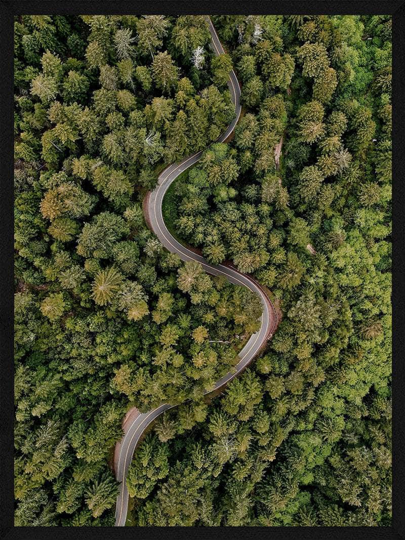 Snoet Vej Plakat – Natur i Fugleperspektiv til Dit Hjem
