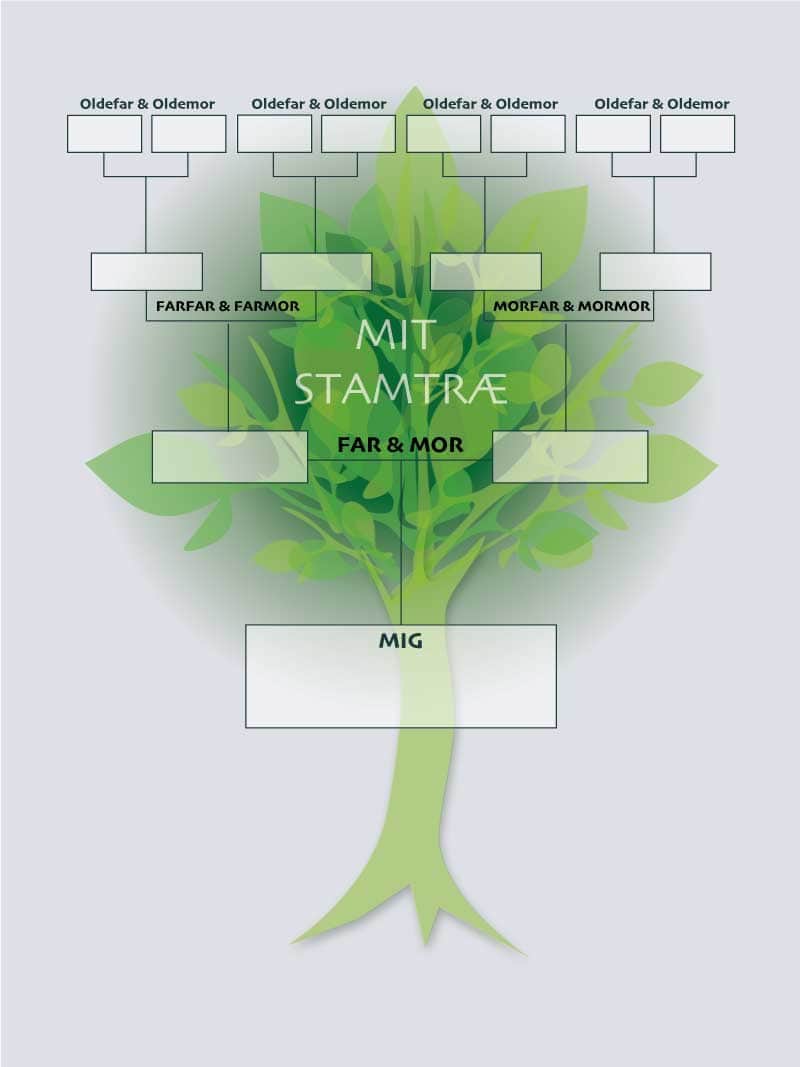 Stamtræ Plakat til Børneværelset - Lær og Udforsk!