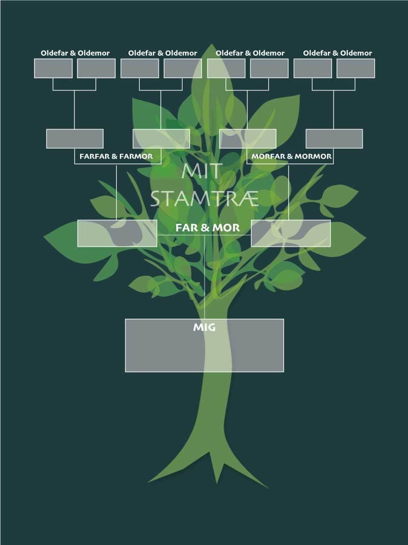 Stamtræ Plakat til Børneværelset - Udforsk Din Familiehistorie